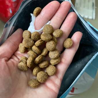 Корм для щенков ROYAL CANIN Maxi Puppy 3кг: отзыв пользователя. Зоомагазин Зоозавр