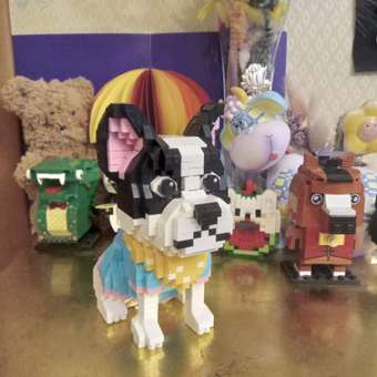 Конструктор Balody Французский бульдог из мини-блоков 917 дет.: отзыв пользователя ДетМир