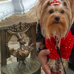 Фото отзыва 10721613