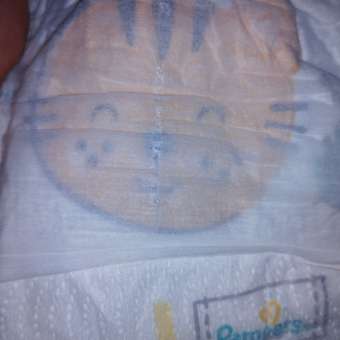 Трусики Pampers Premium Care 3 (6-11 кг) 70 шт.: отзыв пользователя ДетМир