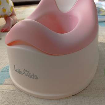 Горшок LaLa-Kids розовый в ассортименте: отзыв пользователя Детский Мир
