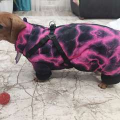 Фото отзыва 10673541