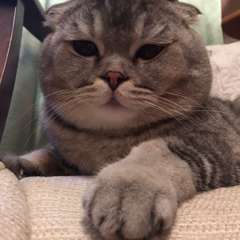 Фото отзыва 10714740