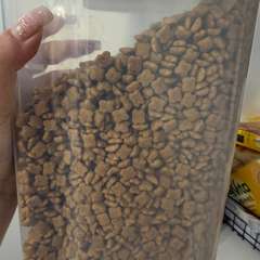 Фото отзыва 10910550