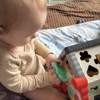 Игрушка BabyGo развивающий центр Домик: отзыв пользователя ДетМир