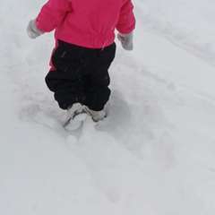 Фото отзыва 10903972