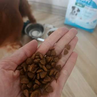 Корм для щенков ROYAL CANIN Puppy мелких пород 800г: отзыв пользователя. Зоомагазин Зоозавр