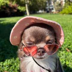 Фото отзыва 10485087