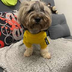 Фото отзыва 10638836