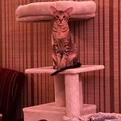 Фото отзыва 10982034