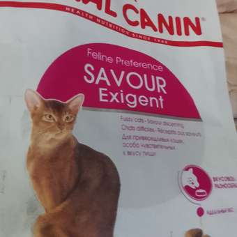 Корм сухой для кошек ROYAL CANIN Exigent Protein 400г привередливых к составу продукта: отзыв пользователя. Зоомагазин Зоозавр