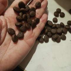 Фото отзыва 10915538