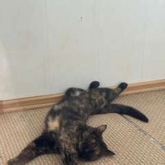 Фото отзыва 10635238