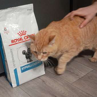 Корм для кошек ROYAL CANIN Hypoallergenic при пищевой аллергии 2кг: отзыв пользователя. Зоомагазин Зоозавр