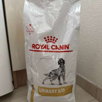 Корм для собак ROYAL CANIN Veterinary Diet Urinary S/O LP 18 при заболеваниях дистального отдела мочевыделительной системы 2кг: отзыв пользователя. Зоомагазин Зоозавр
