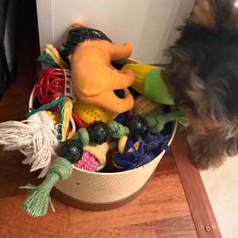 Игрушка для собак Barbaks Лев Алексей из латекса с пищалкой 16см: отзыв пользователя. Зоомагазин Зоозавр