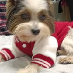 Фото отзыва 10533767