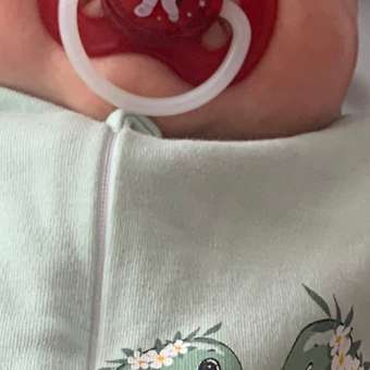 Пустышка Canpol Babies латекс анатомическая от 0 мес.: отзыв пользователя ДетМир