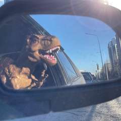 Фото отзыва 3784466