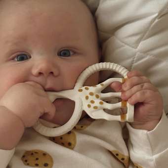 Прорезыватель Sophie la girafe Жирафик: отзыв пользователя Детский Мир