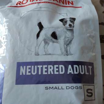 Корм для собак ROYAL CANIN Ньютрид Эдалт Смол Догз 0.8кг: отзыв пользователя. Зоомагазин Зоозавр