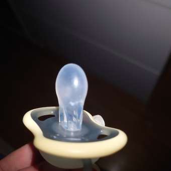 Пустышка Philips Avent силикон ортодонтическая от 18 мес. 2 шт.: отзыв пользователя ДетМир