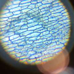 Фото отзыва 11097487