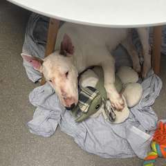 Фото отзыва 9917711