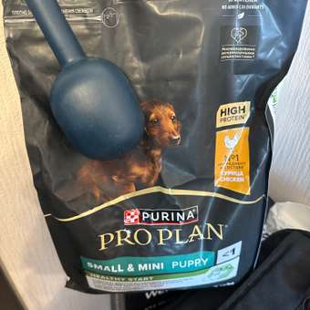 Корм сухой для щенков PRO PLAN HEALTHY START 3 кг с курицей для мелких и карликовых пород: отзыв пользователя. Зоомагазин Зоозавр
