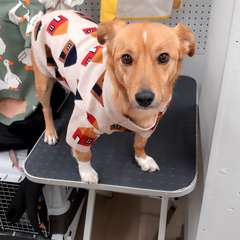 Фото отзыва 10857631