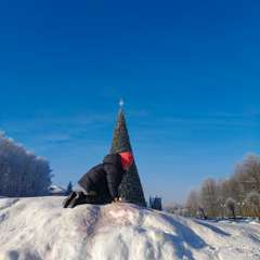 Фото отзыва 10951726