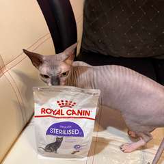 Фото отзыва 10514181