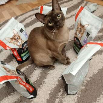 Корм сухой для кошек PRO PLAN RENAL PLUS 400г + 200г с индейкой для стерилизованных: отзыв пользователя. Зоомагазин Зоозавр