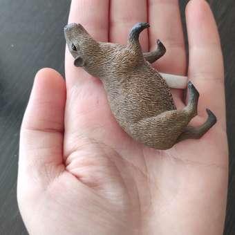 Фигурка Collecta Капибара: отзыв пользователя Детский Мир