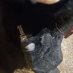 Фото отзыва 10544269