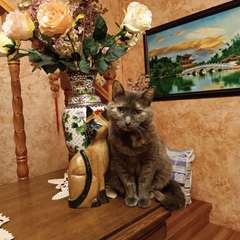 Фото отзыва 10901024