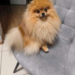 Фото отзыва 10896482