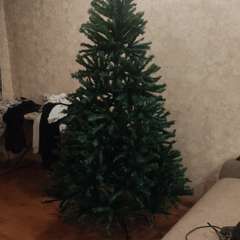 Фото отзыва 10777523