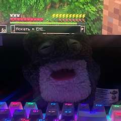 Фото отзыва 10747003