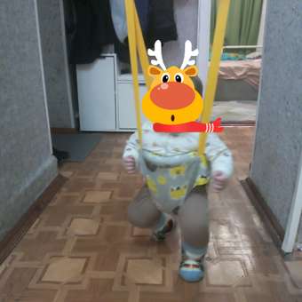 Прыгунки подвесные Babyton: отзыв пользователя Детский Мир