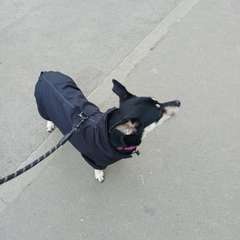 Фото отзыва 10720696