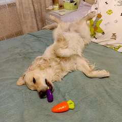 Фото отзыва 9087804