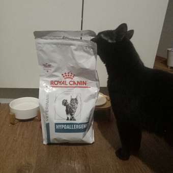 Корм для кошек ROYAL CANIN Hypoallergenic при пищевой аллергии 2кг: отзыв пользователя. Зоомагазин Зоозавр