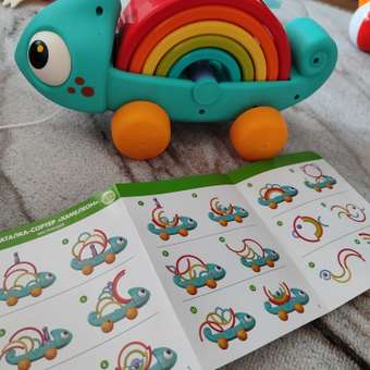 Игрушка BabyGo сортер Хамелеон: отзыв пользователя ДетМир