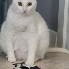 Фото отзыва 10787171