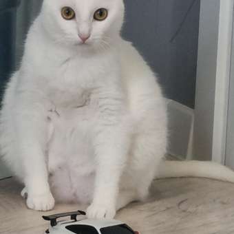 Автомобиль РУ Rastar Porsche 1:24: отзыв пользователя Детский Мир