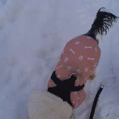 Фото отзыва 10916559