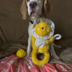 Фото отзыва 10641104