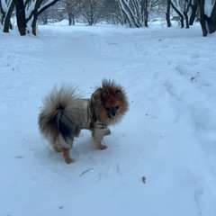 Фото отзыва 10850363