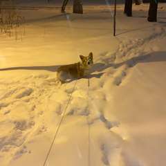 Фото отзыва 10923459